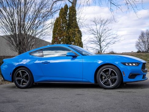 Used 2024 Ford Mustang EcoBoost image 4