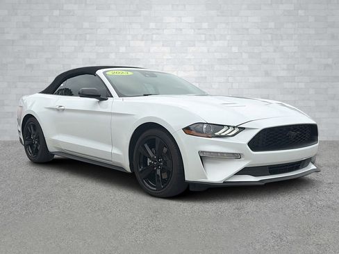Used 2023 Ford Mustang Premium w/ Equipment Group 201A image 1