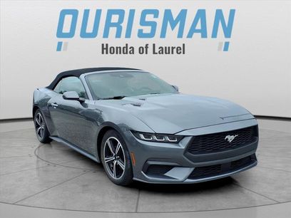 Used 2024 Ford Mustang Premium