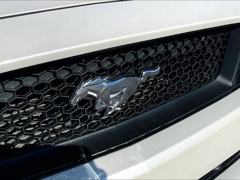 Used 2017 Ford Mustang GT Premium w/ Equipment Group 401A image 27