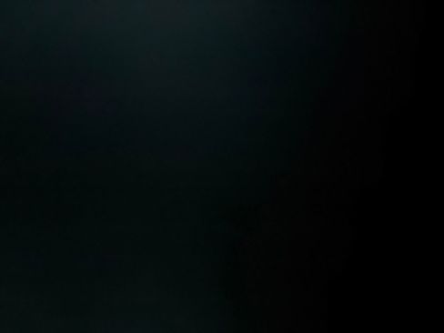 New 2026 Ford Transit 250 Low Roof w/ Load Area Protection Package image 21