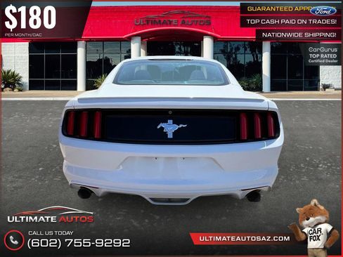Used 2015 Ford Mustang Coupe w/ Equipment Group 051A RWD image 8