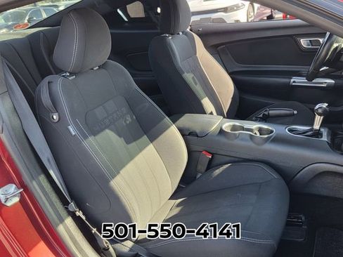 Used 2019 Ford Mustang GT w/ Equipment Group 301A image 16