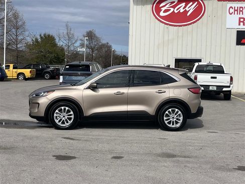 Used 2020 Ford Escape SE image 2