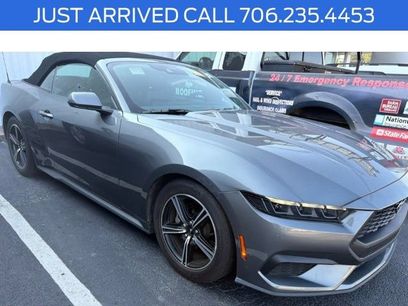 Used 2025 Ford Mustang Premium