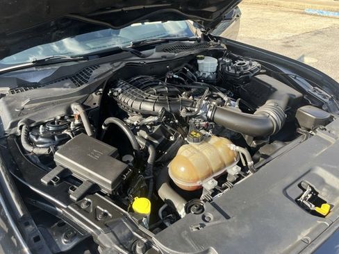 Used 2015 Ford Mustang Coupe w/ Equipment Group 051A image 9