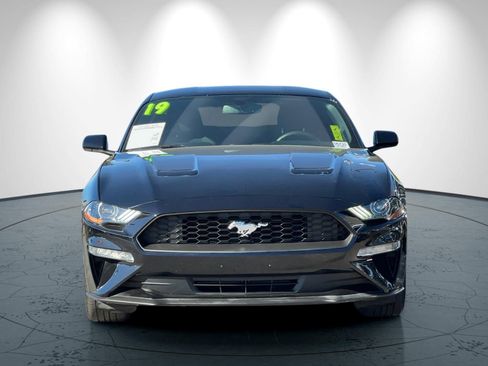 Used 2019 Ford Mustang Coupe w/ Equipment Group 101A image 9