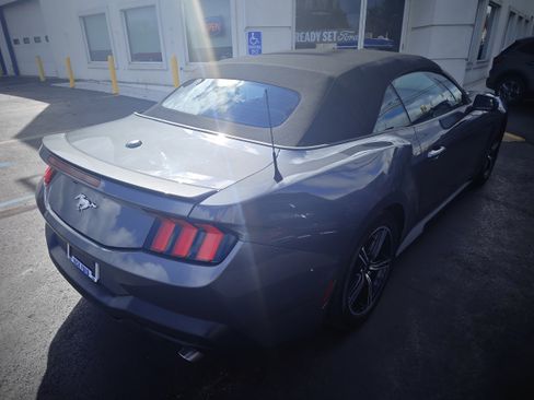 Used 2024 Ford Mustang Premium RWD image 5