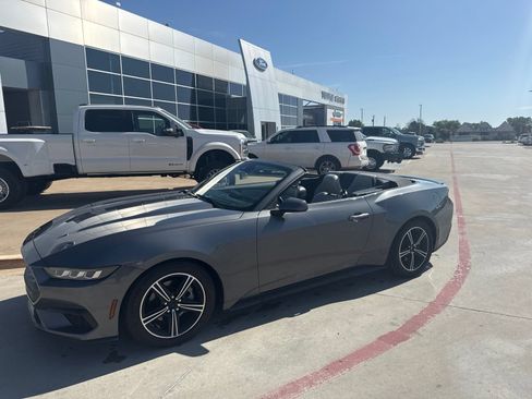 Used 2024 Ford Mustang Premium RWD image 12