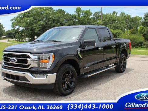 Used 2023 Ford F150 XLT w/ Equipment Group 302A High AWD/4WD image 1