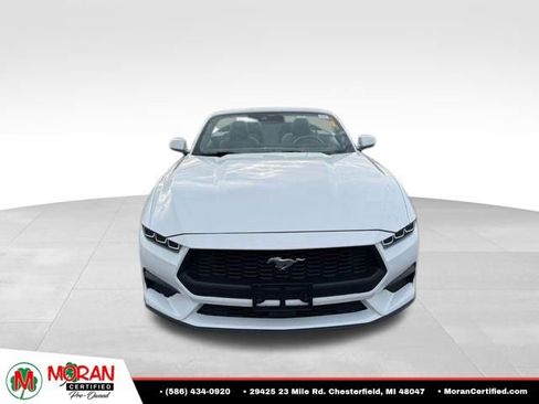 Used 2024 Ford Mustang Premium RWD image 9