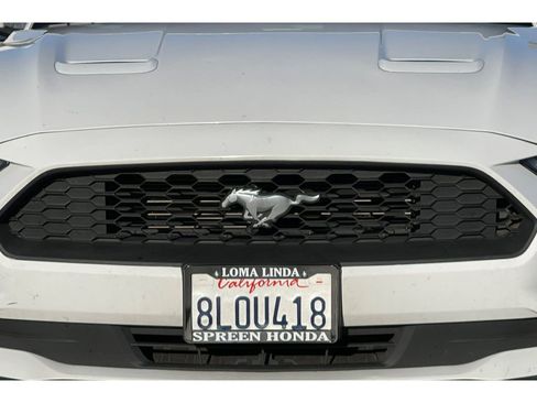 Used 2019 Ford Mustang Premium image 8