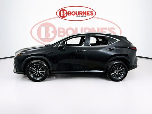 Used 2024 Lexus NX 350 AWD w/ Cold Area Package image 7