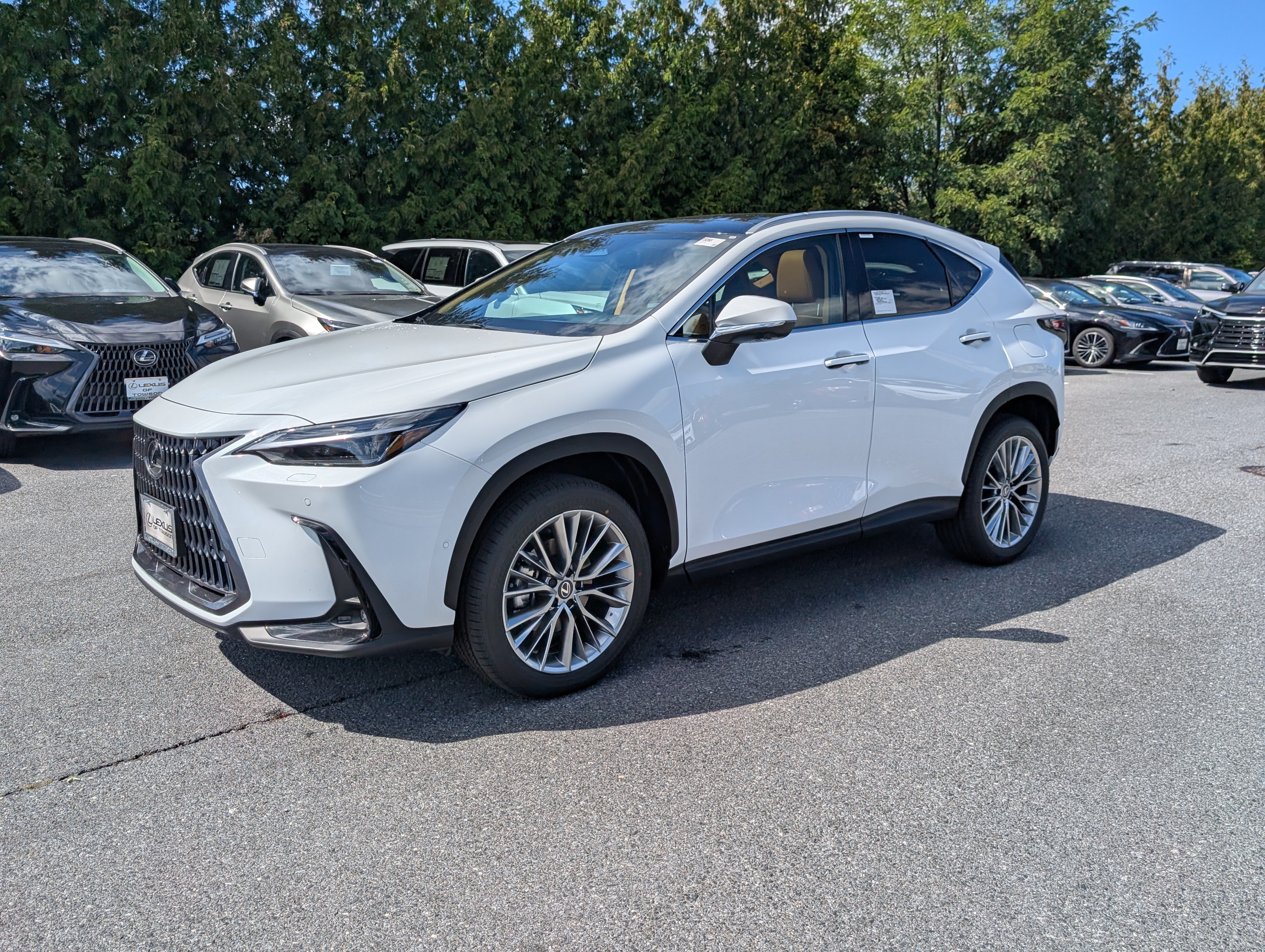 New 2026 Lexus NX 350 AWD w/ Luxury Package image 4