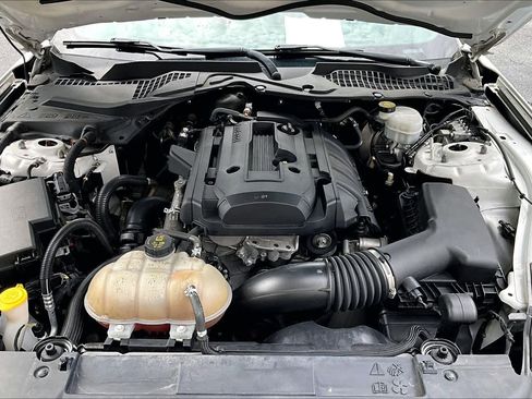 Used 2018 Ford Mustang Premium w/ Equipment Group 201A RWD image 28