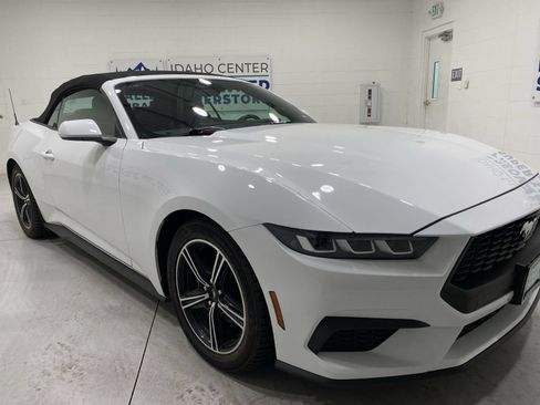 Used 2024 Ford Mustang Premium RWD image 2