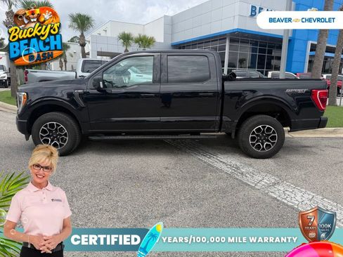 Used 2023 Ford F150 XLT w/ Equipment Group 302A High AWD/4WD image 7