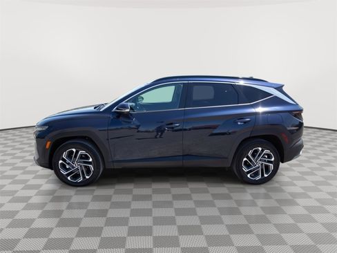 Used 2025 Hyundai Tucson Limited AWD/4WD image 8