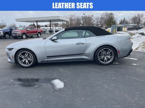 Used 2025 Ford Mustang Premium w/ Wheel & Stripe Package image 7