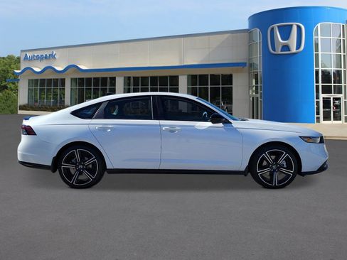 New 2026 Honda Accord Sport image 6