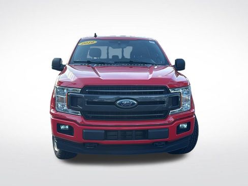 Used 2019 Ford F150 XLT w/ Equipment Group 302A Luxury AWD/4WD image 2