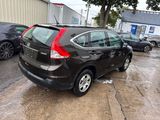 Used 2014 Honda CR-V LX image 5