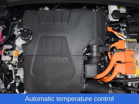 New 2025 Hyundai Elantra Limited image 7