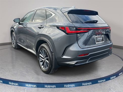 Certified 2025 Lexus NX 350h AWD w/ Cold Area Package image 7