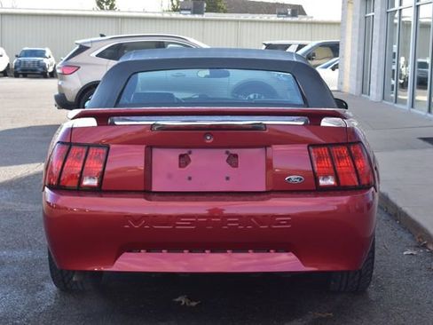 Used 2004 Ford Mustang Convertible image 9