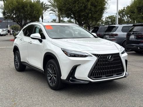 Used 2025 Lexus NX 350h AWD w/ Cold Area Package image 6