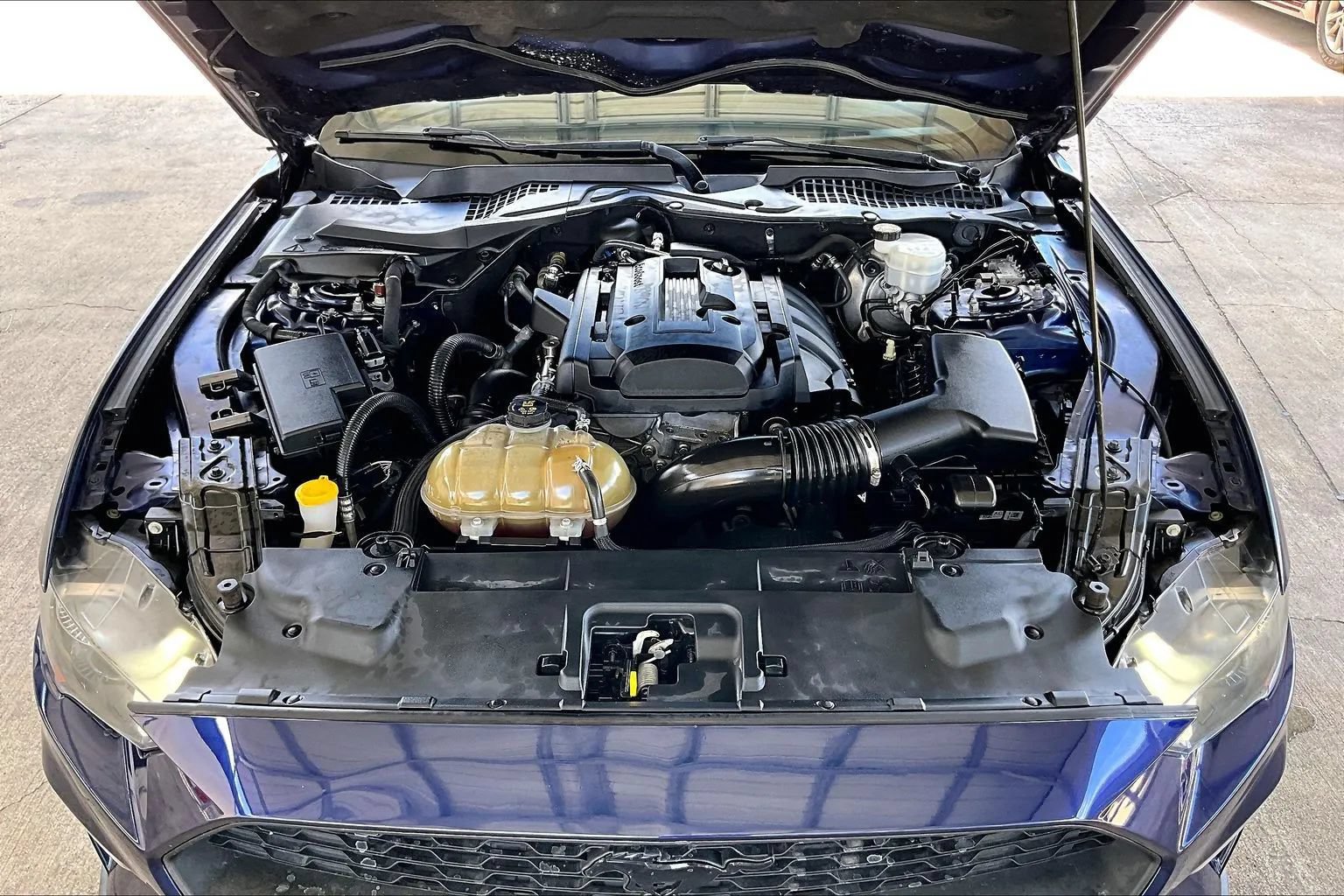 Used 2019 Ford Mustang Coupe w/ Equipment Group 101A RWD image 26