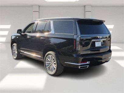 New 2026 Cadillac Escalade Luxury