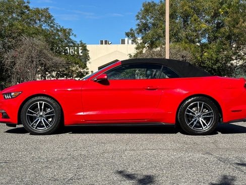 Used 2017 Ford Mustang Premium image 7