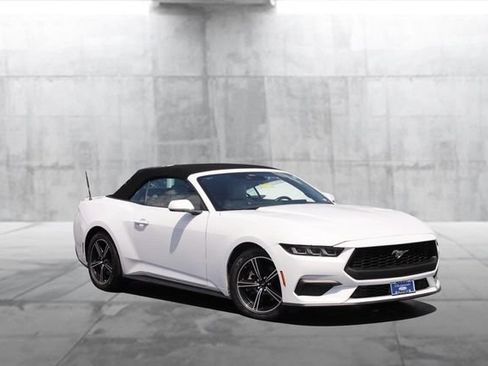 Used 2024 Ford Mustang Premium RWD image 2