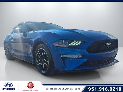Used 2021 Ford Mustang Premium RWD image 1