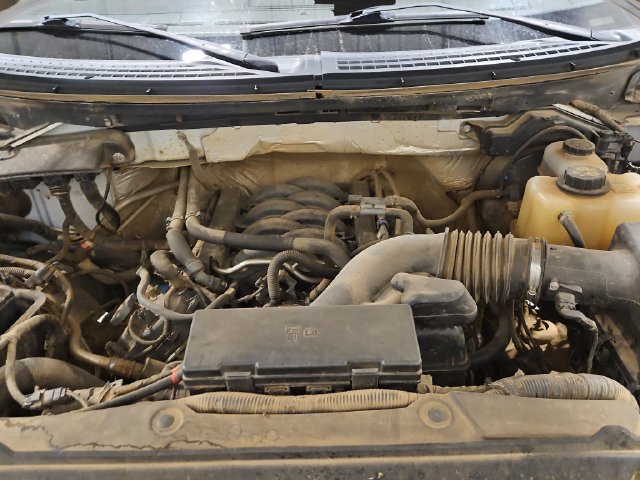Used 2012 Ford F150 XLT w/ XLT Convenience Pkg AWD/4WD image 27
