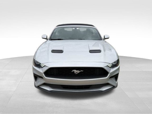 Used 2018 Ford Mustang Premium w/ Equipment Group 201A RWD image 10