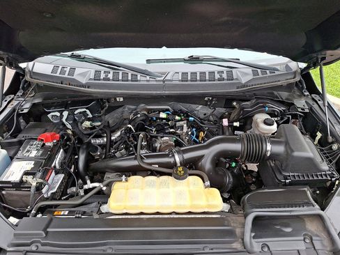 Used 2019 Ford F150 XLT w/ Equipment Group 302A Luxury AWD/4WD image 28