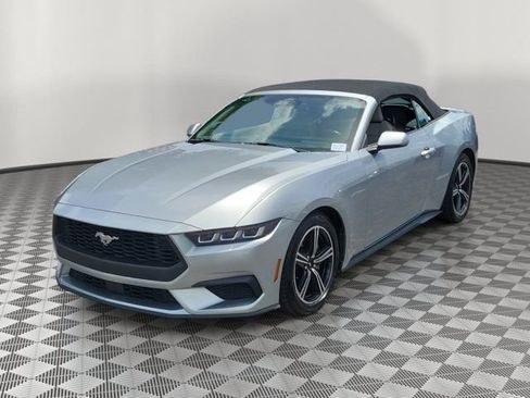 Used 2024 Ford Mustang Premium RWD image 3
