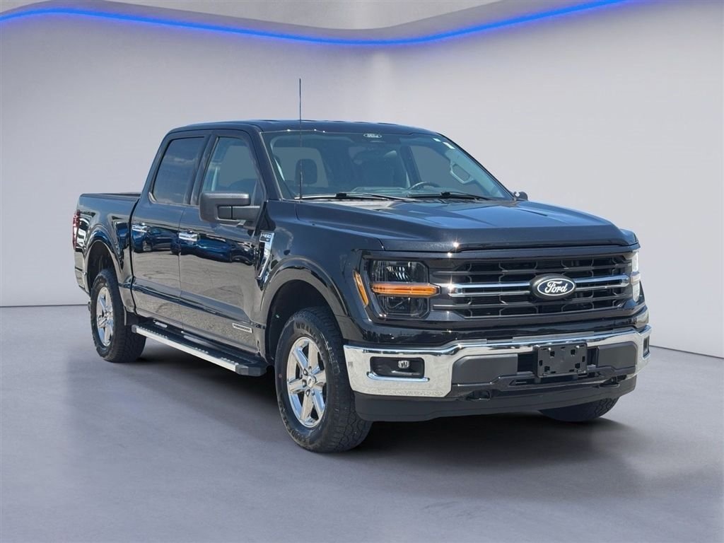 Used 2025 Ford F150 XLT w/ Equipment Group 301A Standard AWD/4WD image 5