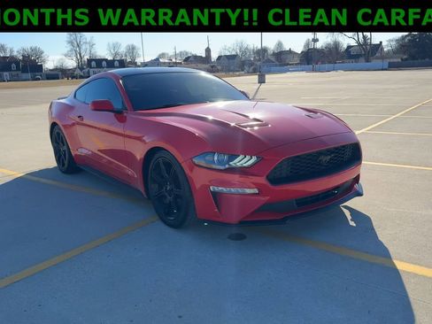 Used 2019 Ford Mustang Coupe w/ Black Accent Package RWD image 2