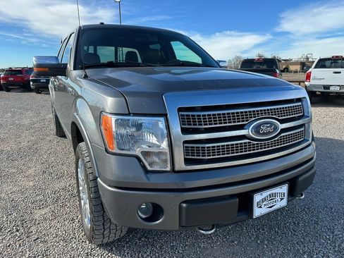 Used 2010 Ford F150 Platinum image 2