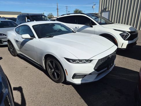 Used 2024 Ford Mustang EcoBoost image 7