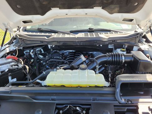 Used 2025 Ford F150 XLT w/ Equipment Group 301A Standard image 36