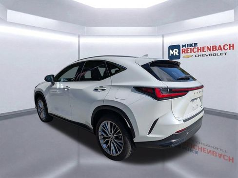 Used 2025 Lexus NX 350h AWD w/ Cold Area Package image 6