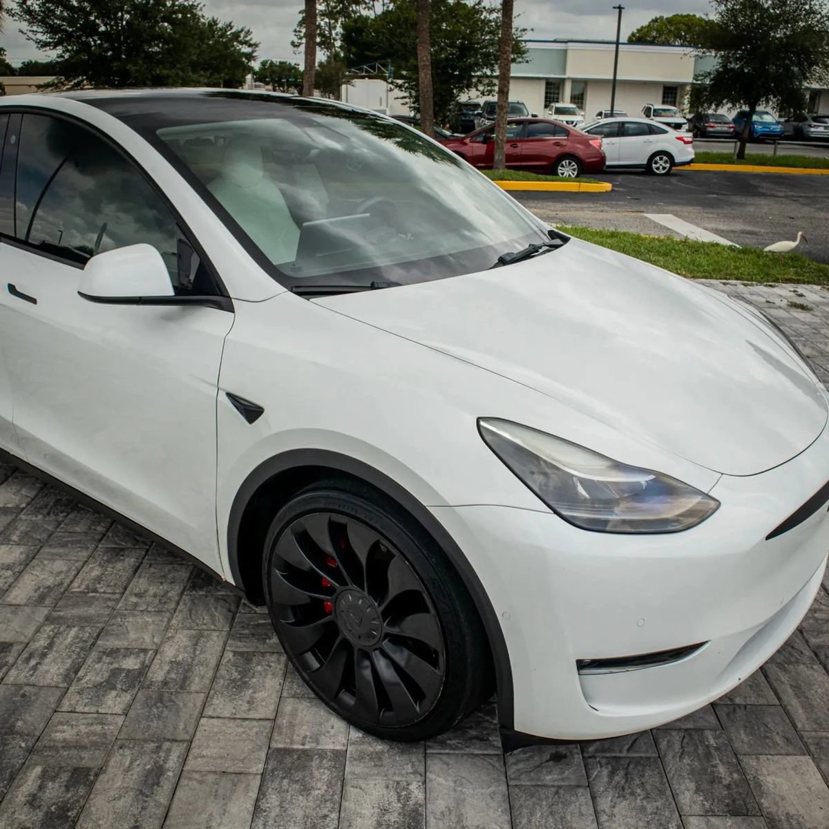 Used 2022 Tesla Model Y Performance AWD/4WD image 11