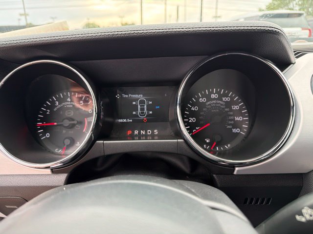 Used 2016 Ford Mustang Premium w/ Enhanced Security Package RWD image 16