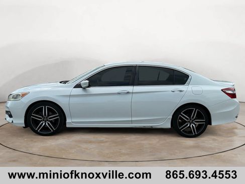 Used 2017 Honda Accord Sport Special Edition image 6