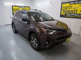 Used 2017 Toyota RAV4 XLE w/ Protection Package image 2