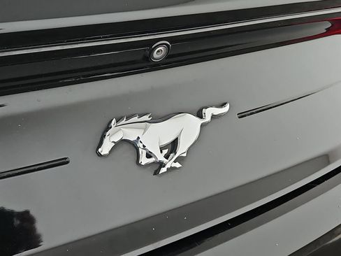 Used 2022 Ford Mustang Coupe w/ Equipment Group 101A RWD image 35